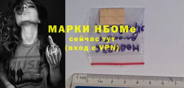 стафф Новозыбков
