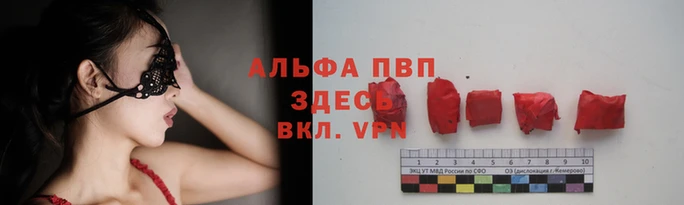 первитин Новокубанск