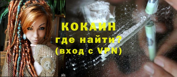 стафф Новозыбков