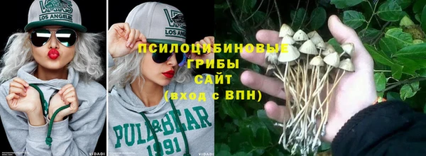 гашиш Новодвинск