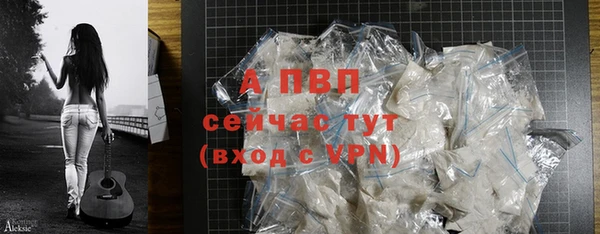 стафф Новозыбков
